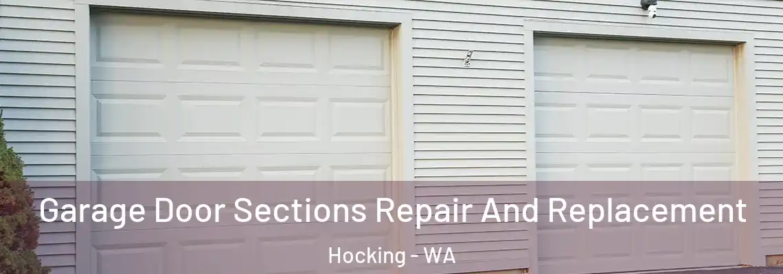 Garage Door Sections Repair And Replacement Hocking - WA