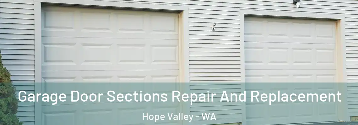  Garage Door Sections Repair And Replacement Hope Valley - WA