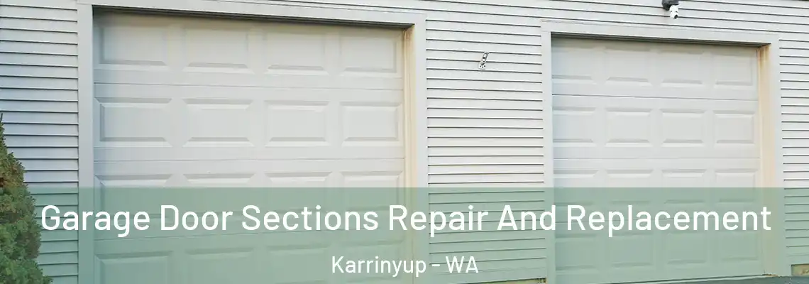 Garage Door Sections Repair And Replacement Karrinyup - WA