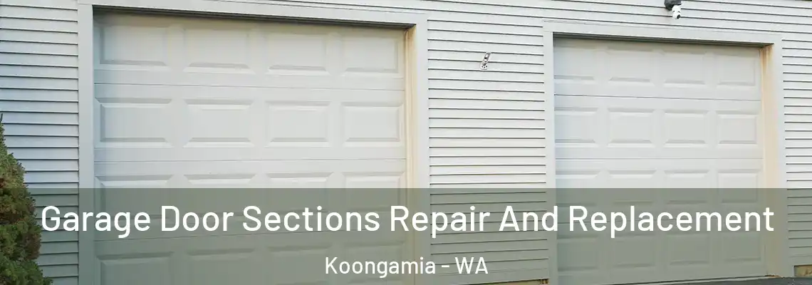 Garage Door Sections Repair And Replacement Koongamia - WA