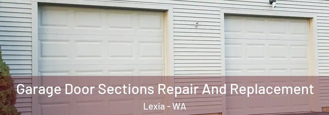 Garage Door Sections Repair And Replacement Lexia - WA
