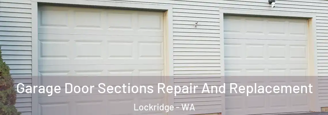 Garage Door Sections Repair And Replacement Lockridge - WA