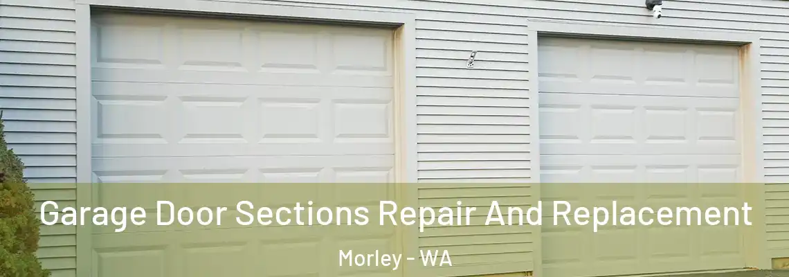 Garage Door Sections Repair And Replacement Morley - WA