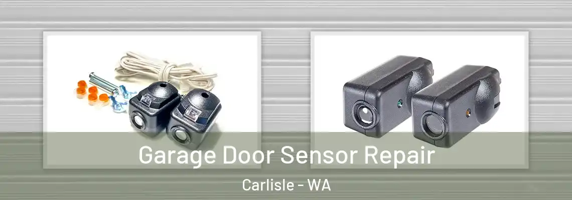 Garage Door Sensor Repair Carlisle - WA