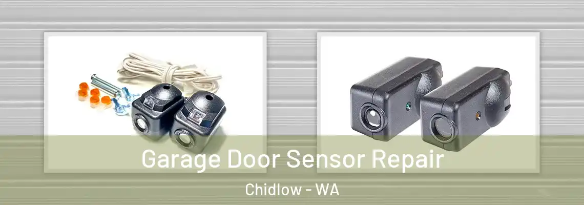 Garage Door Sensor Repair Chidlow - WA