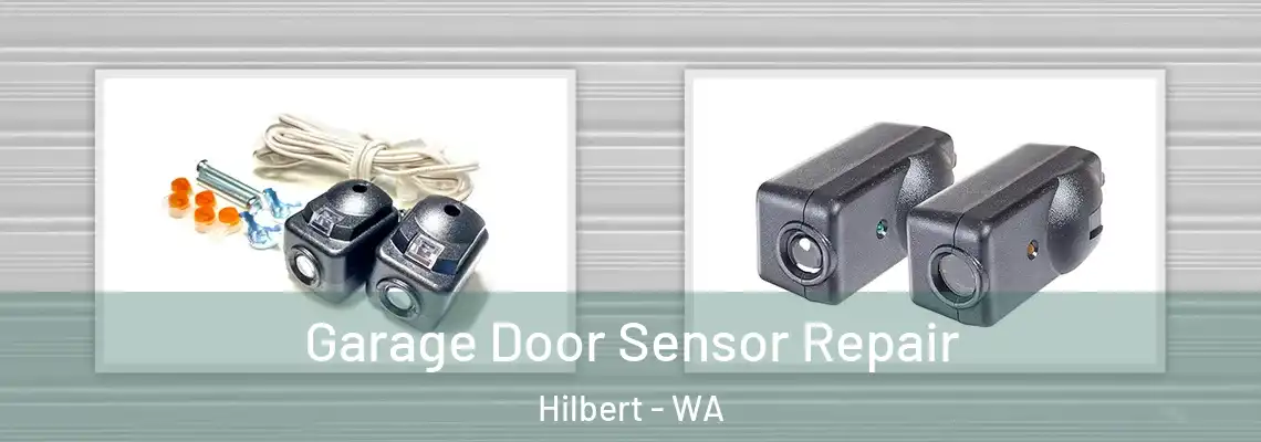 Garage Door Sensor Repair Hilbert - WA