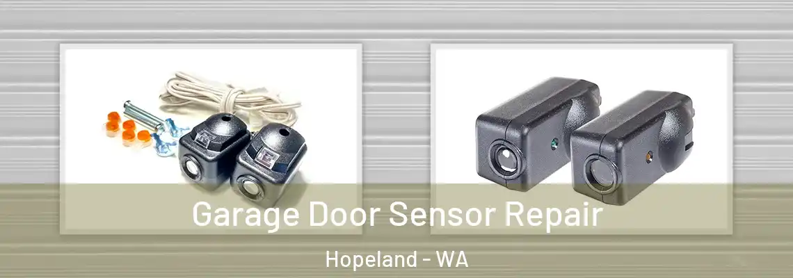 Garage Door Sensor Repair Hopeland - WA