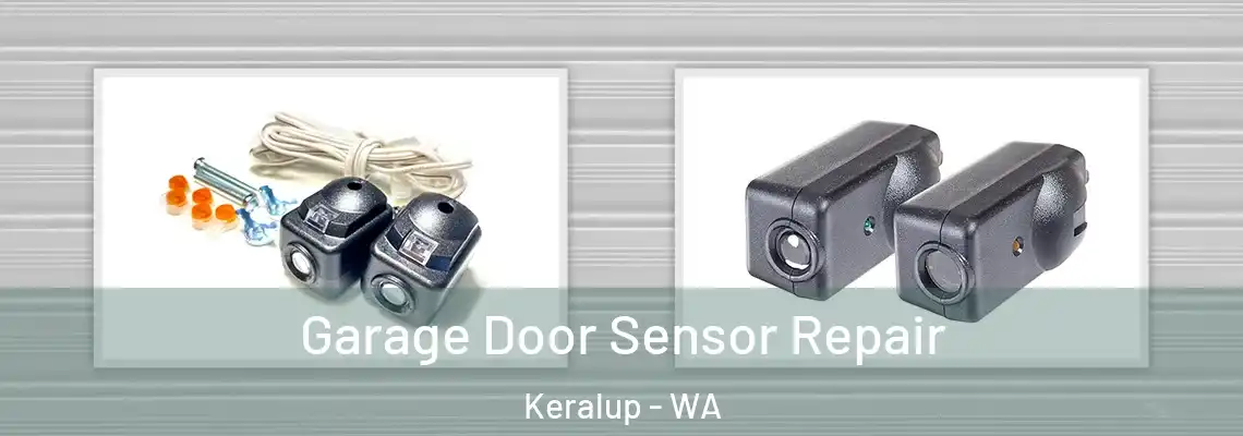  Garage Door Sensor Repair Keralup - WA