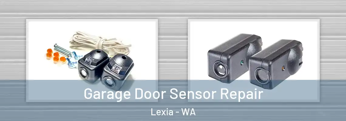 Garage Door Sensor Repair Lexia - WA