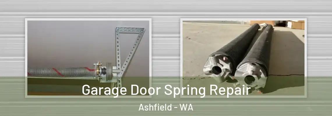 Garage Door Spring Repair Ashfield - WA