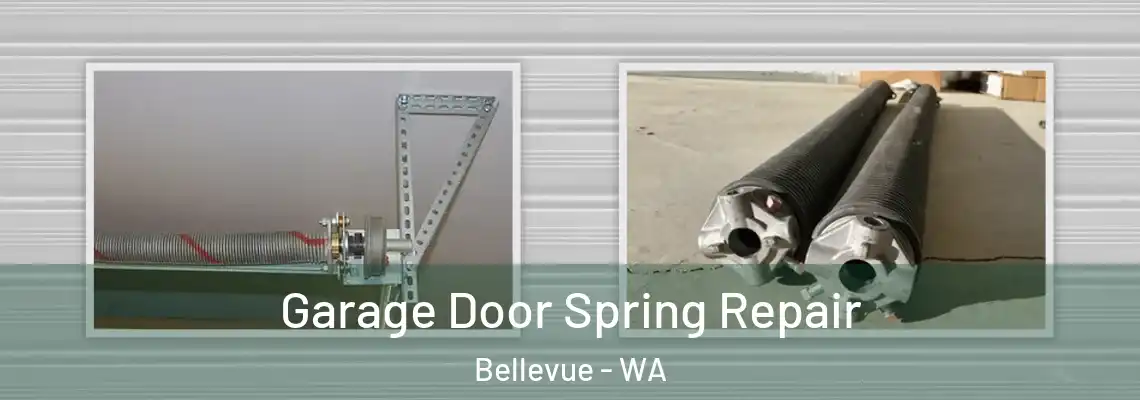 Garage Door Spring Repair Bellevue - WA