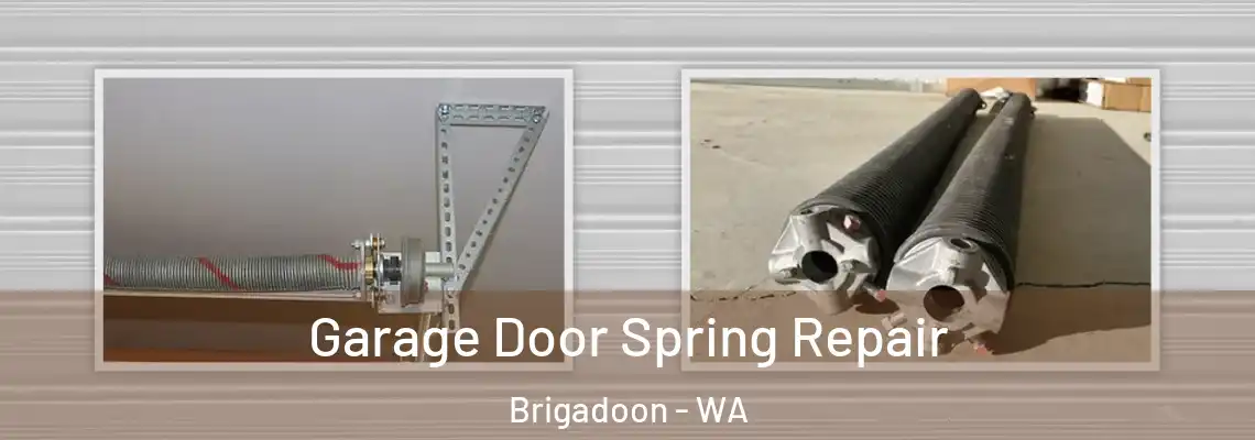 Garage Door Spring Repair Brigadoon - WA