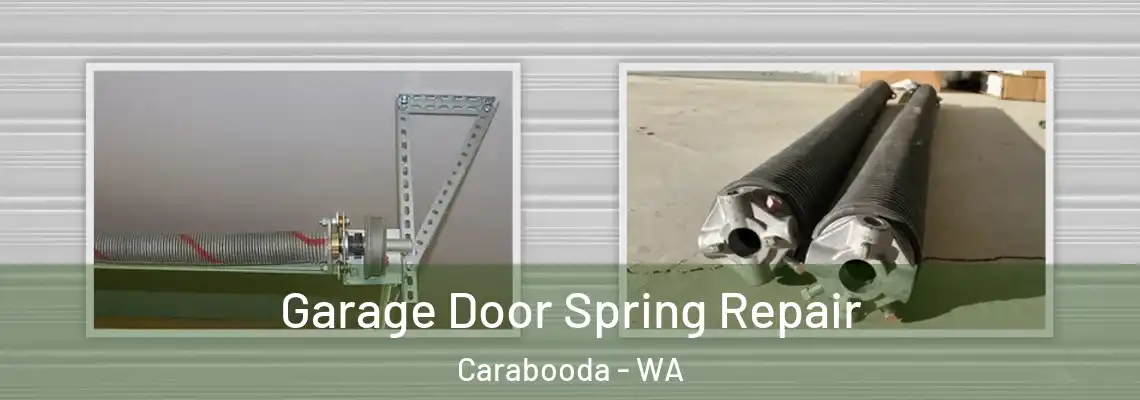 Garage Door Spring Repair Carabooda - WA