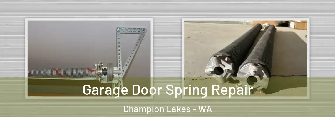 Garage Door Spring Repair Champion Lakes - WA