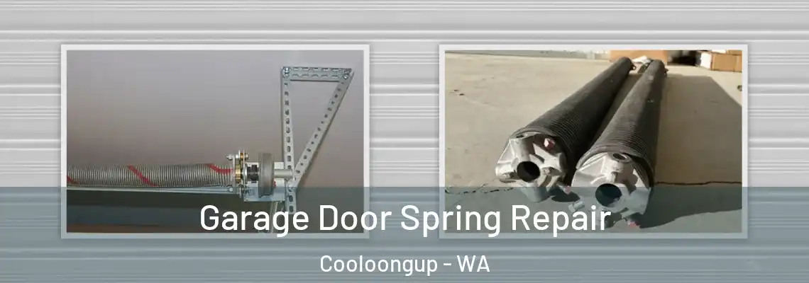 Garage Door Spring Repair Cooloongup - WA
