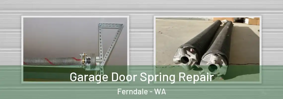 Garage Door Spring Repair Ferndale - WA