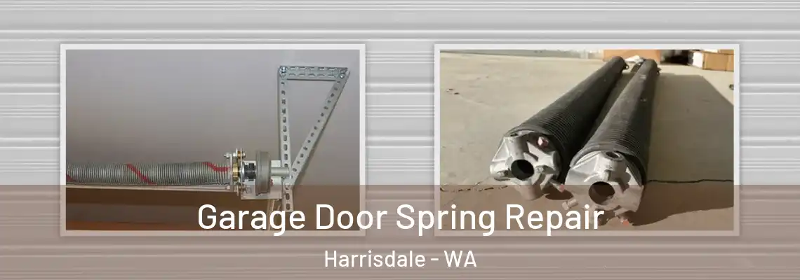 Garage Door Spring Repair Harrisdale - WA