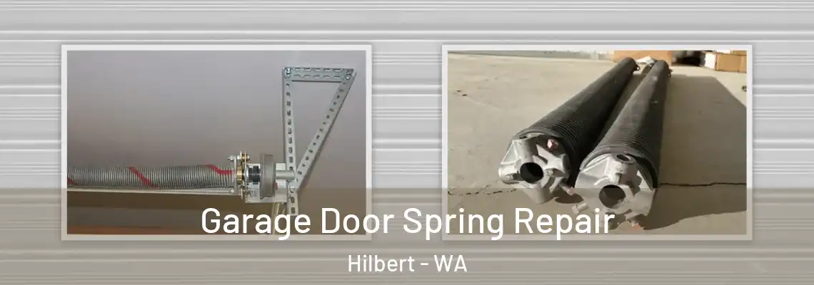 Garage Door Spring Repair Hilbert - WA