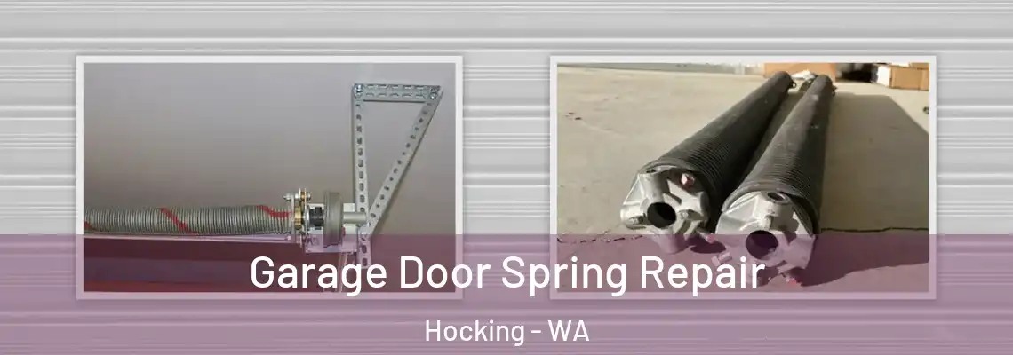 Garage Door Spring Repair Hocking - WA