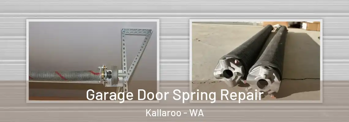 Garage Door Spring Repair Kallaroo - WA