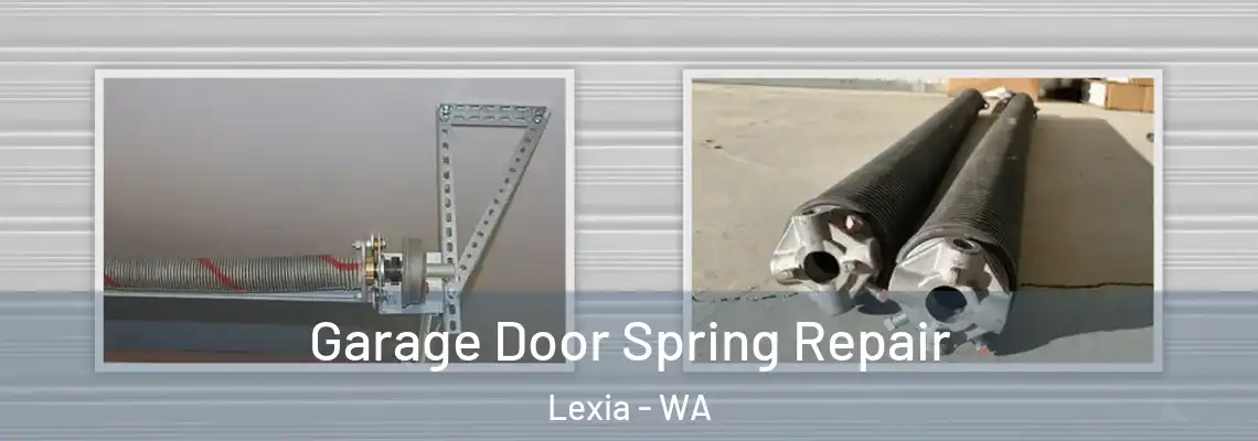 Garage Door Spring Repair Lexia - WA