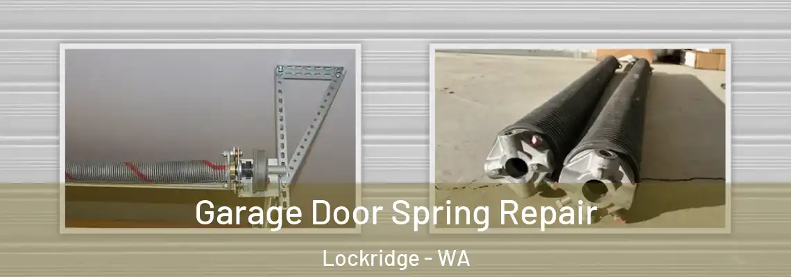 Garage Door Spring Repair Lockridge - WA