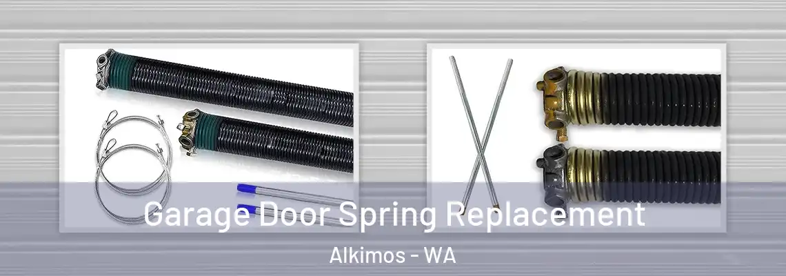 Garage Door Spring Replacement Alkimos - WA