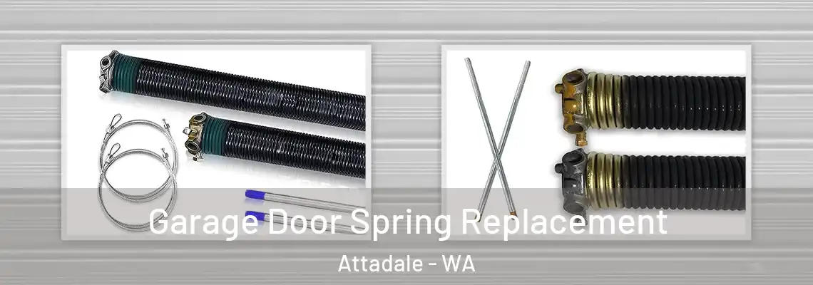 Garage Door Spring Replacement Attadale - WA
