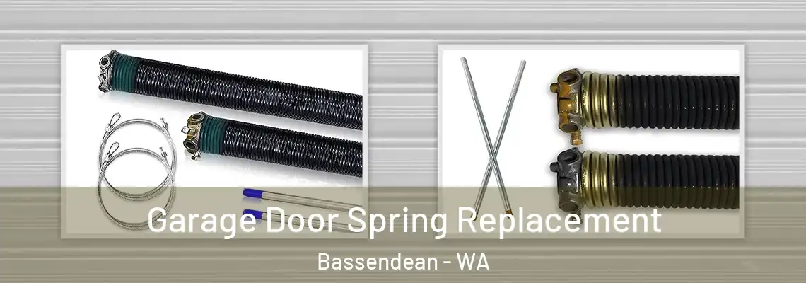 Garage Door Spring Replacement Bassendean - WA