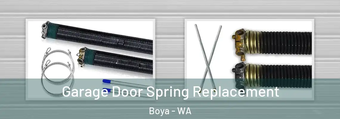 Garage Door Spring Replacement Boya - WA
