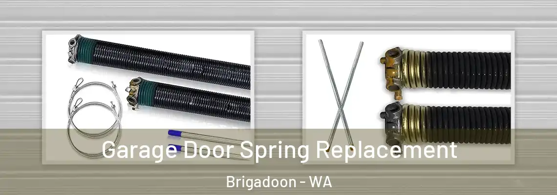 Garage Door Spring Replacement Brigadoon - WA