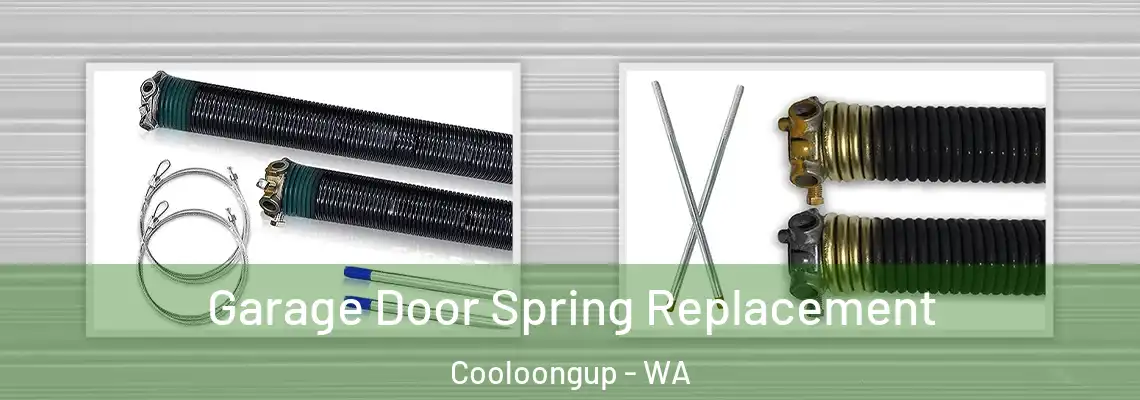 Garage Door Spring Replacement Cooloongup - WA