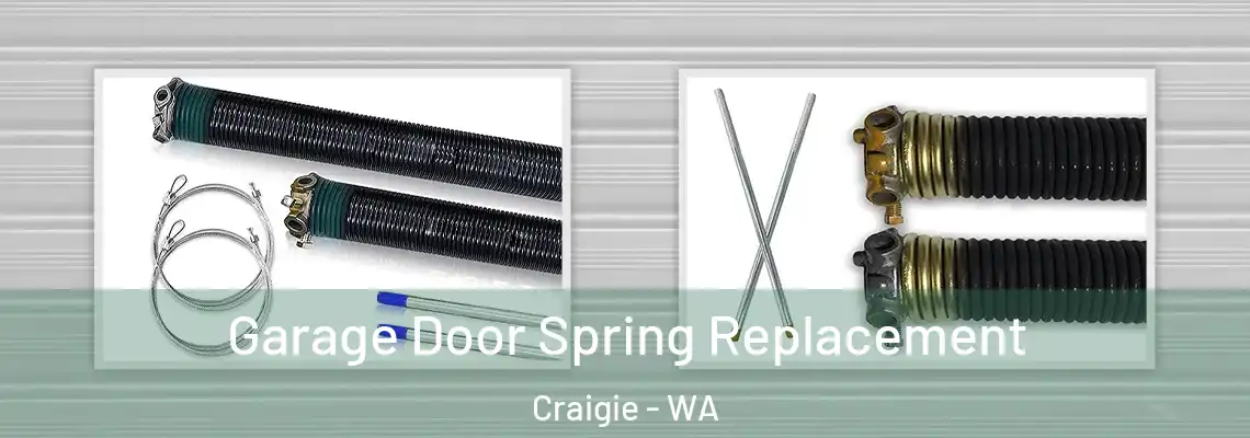 Garage Door Spring Replacement Craigie - WA