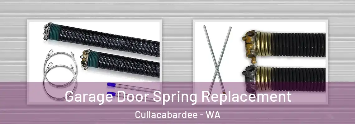 Garage Door Spring Replacement Cullacabardee - WA