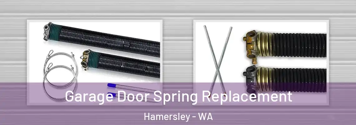 Garage Door Spring Replacement Hamersley - WA