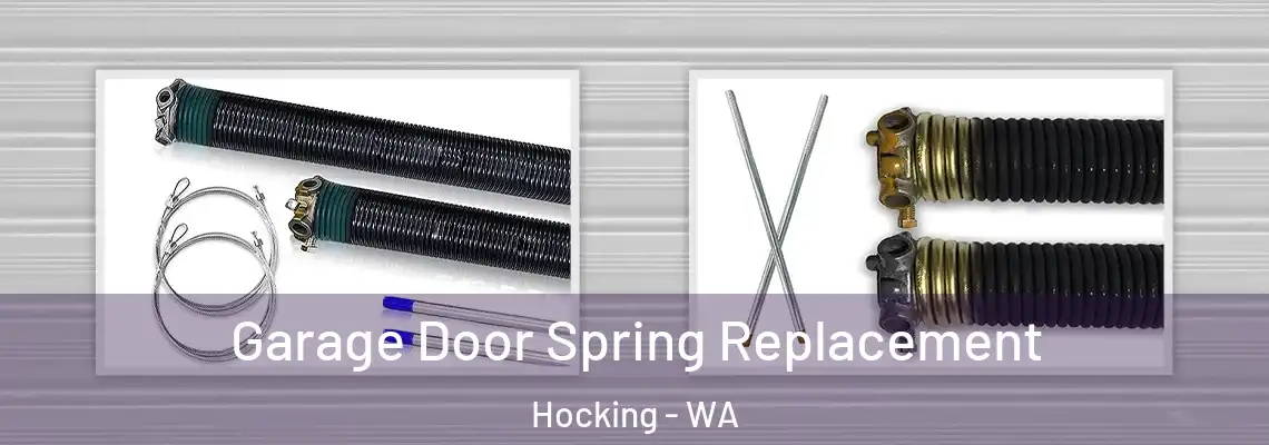 Garage Door Spring Replacement Hocking - WA