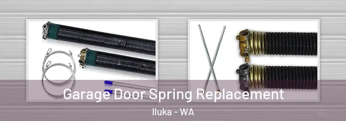 Garage Door Spring Replacement Iluka - WA