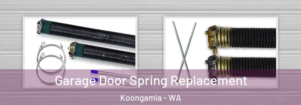 Garage Door Spring Replacement Koongamia - WA