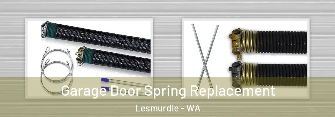 Garage Door Spring Replacement Lesmurdie - WA