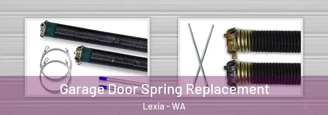 Garage Door Spring Replacement Lexia - WA