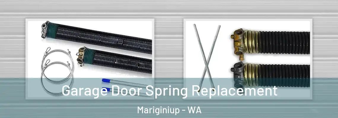 Garage Door Spring Replacement Mariginiup - WA
