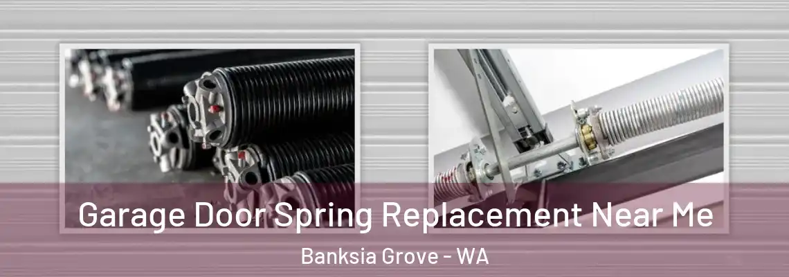 Garage Door Spring Replacement Near Me Banksia Grove - WA