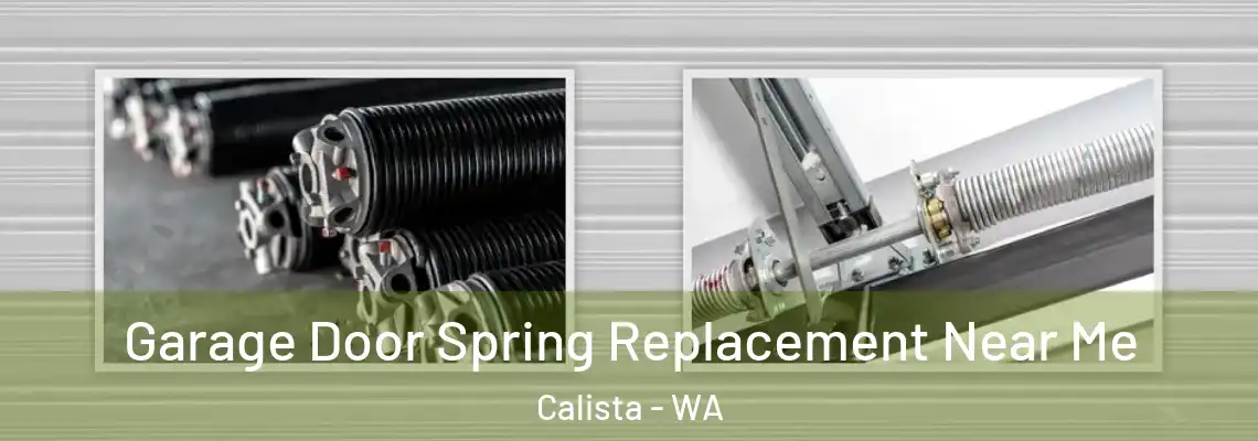 Garage Door Spring Replacement Near Me Calista - WA