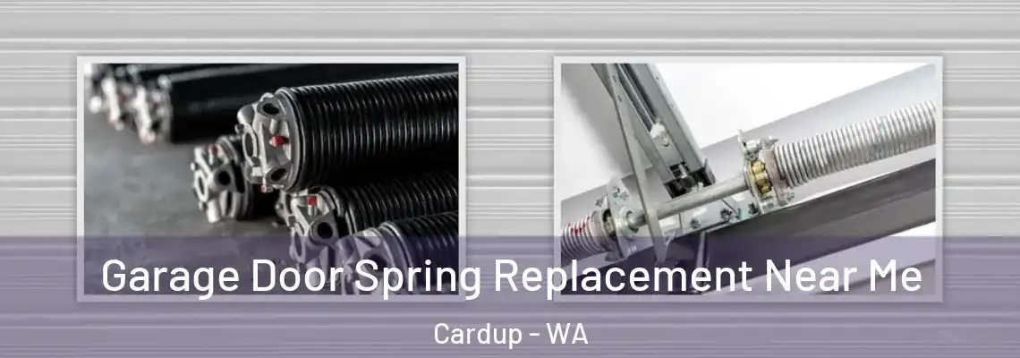 Garage Door Spring Replacement Near Me Cardup - WA