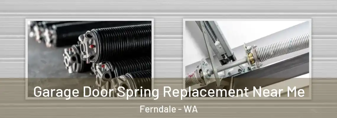 Garage Door Spring Replacement Near Me Ferndale - WA