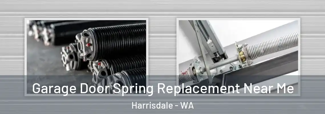 Garage Door Spring Replacement Near Me Harrisdale - WA