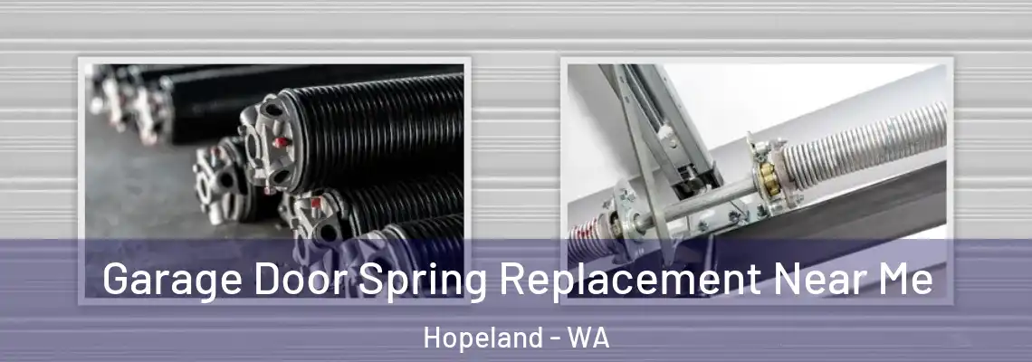 Garage Door Spring Replacement Near Me Hopeland - WA