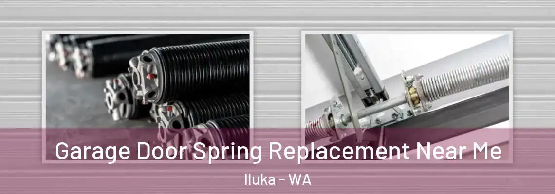 Garage Door Spring Replacement Near Me Iluka - WA