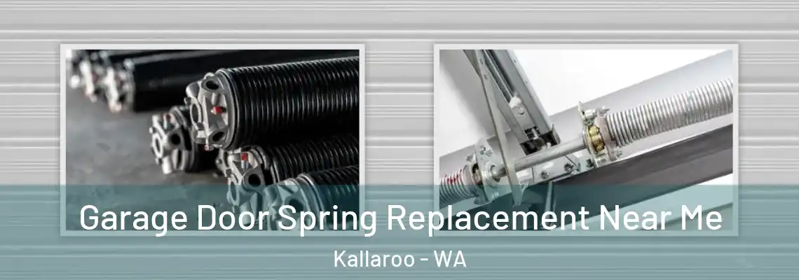 Garage Door Spring Replacement Near Me Kallaroo - WA