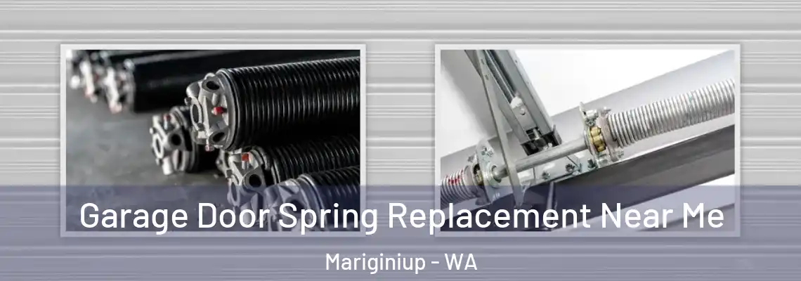 Garage Door Spring Replacement Near Me Mariginiup - WA
